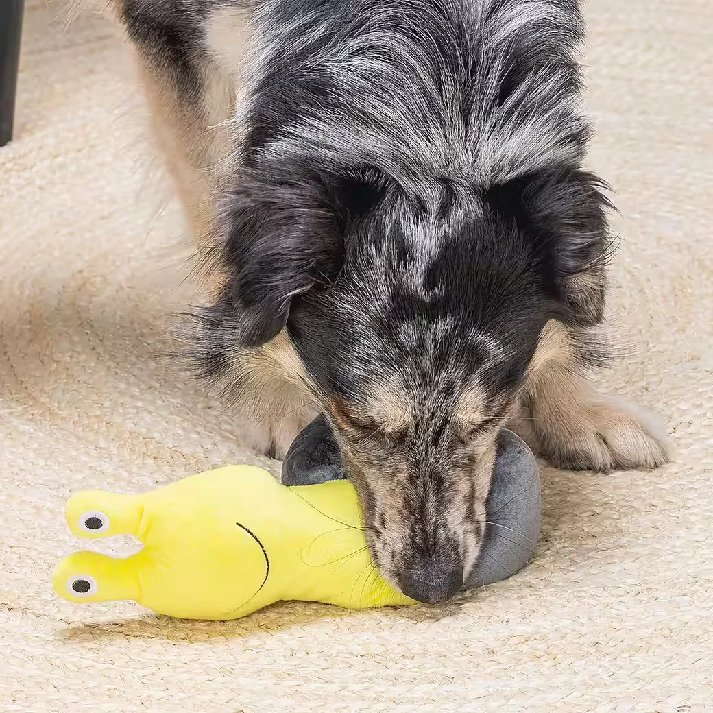BEEZTEES Schnüffelteppich Plüsch Intelligenzspielzeug für Hunde