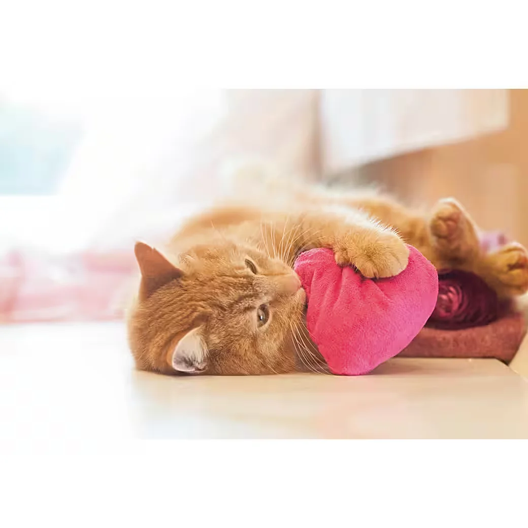 AUMÜLLER Katzenspielkissen I Love You Herz aus pinkem Plüsch