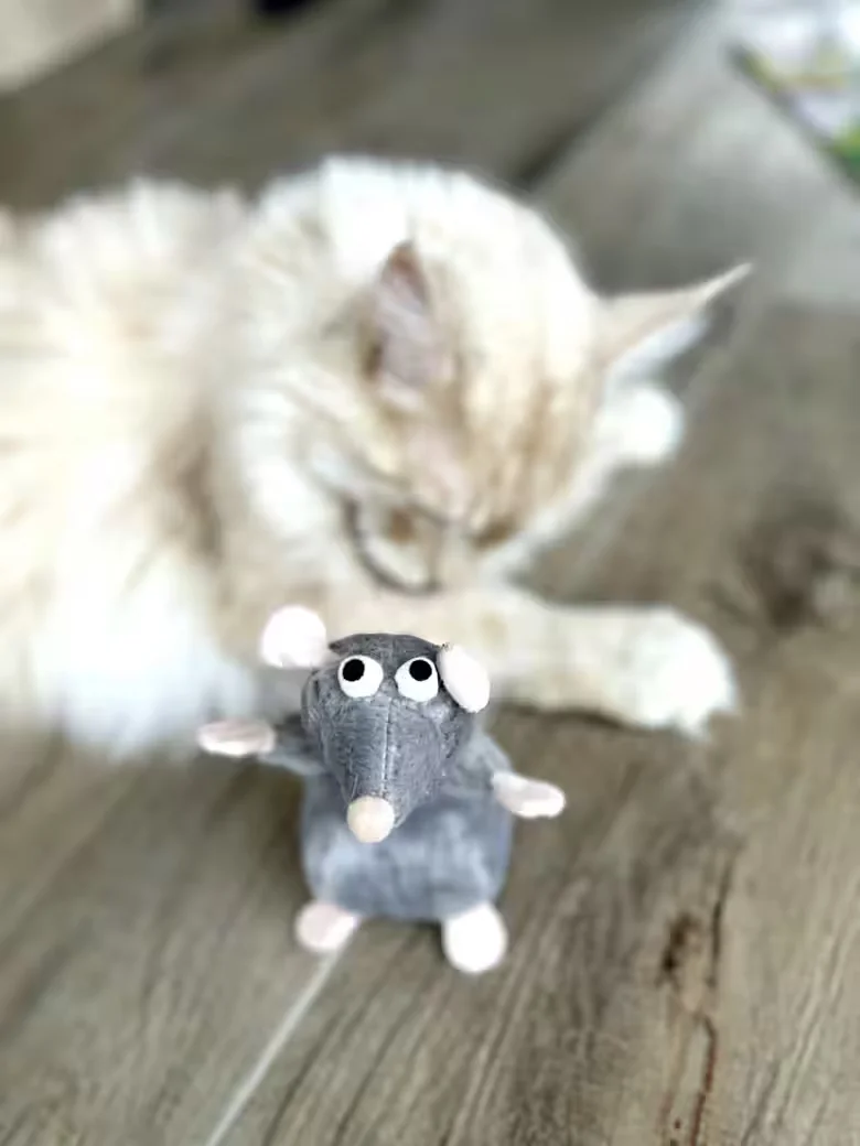 AUMÜLLER Plüschmaus Katzenkissen Ratte Cedric grau mit Sand