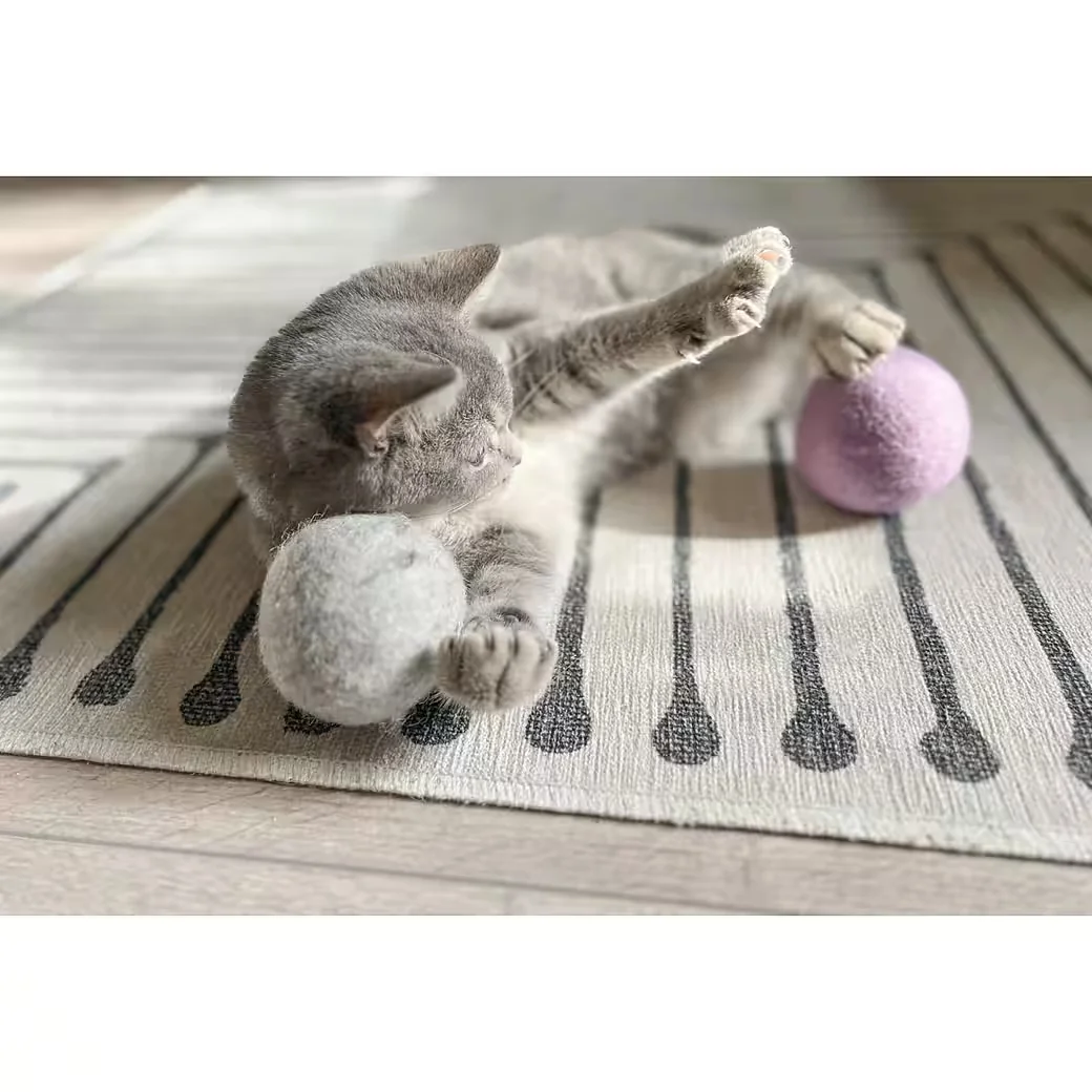 AUMÜLLER Katzenspielzeug Wollfilzball, gefüllt, 1 Stück