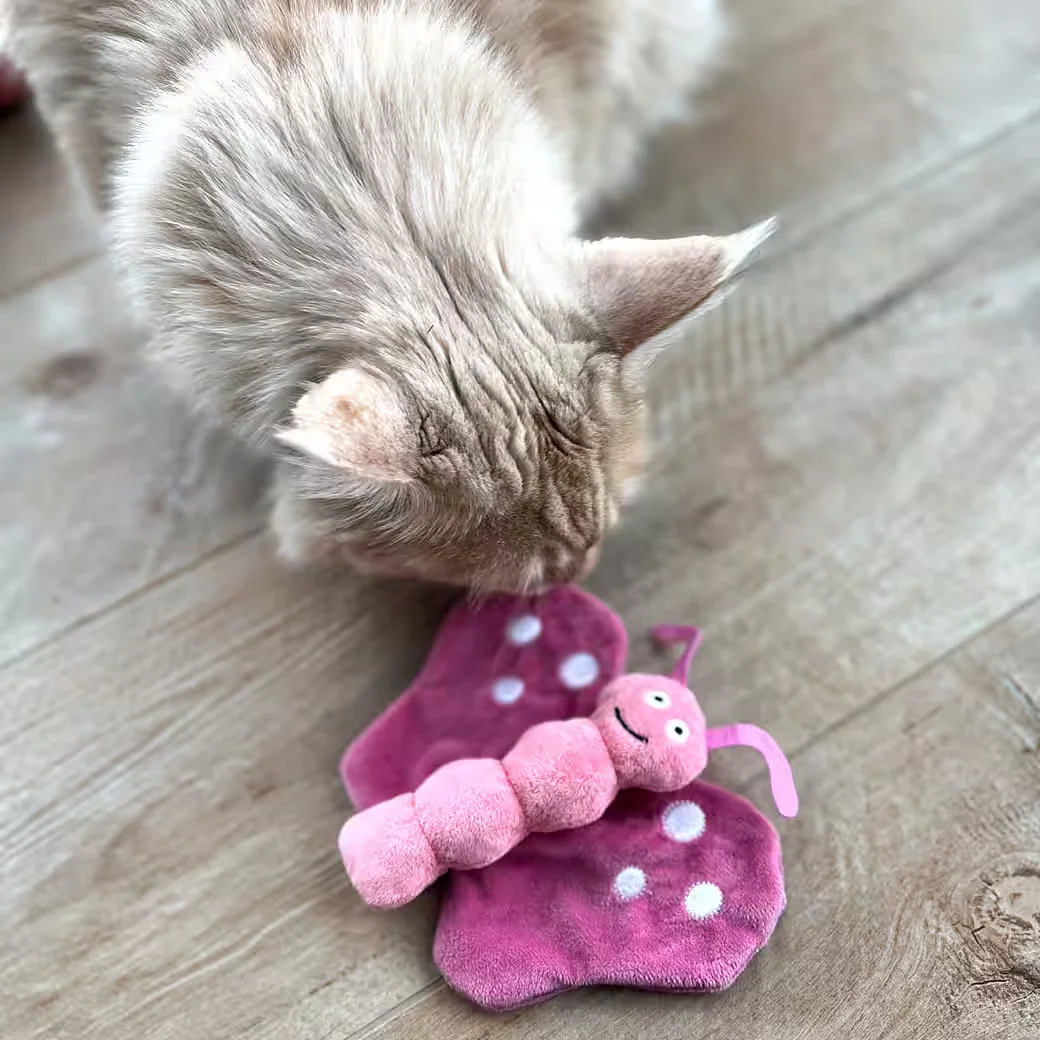 AUMÜLLER Katzenspielzeug Schmetterling Viola Plüschtier zum Schmusen