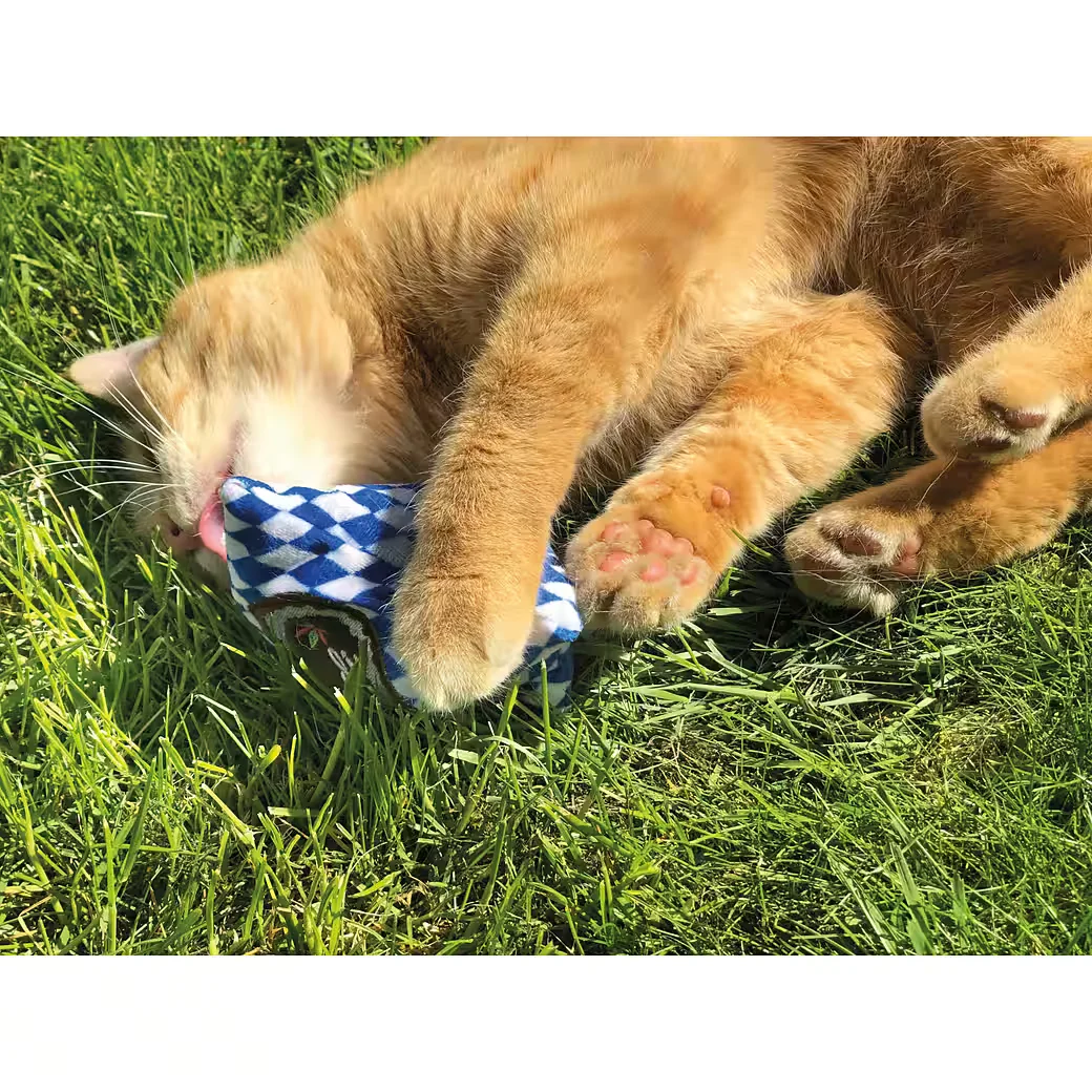 AUMÜLLER Baldrian Katzenspielkissen MOG DI Katzenspielzeug