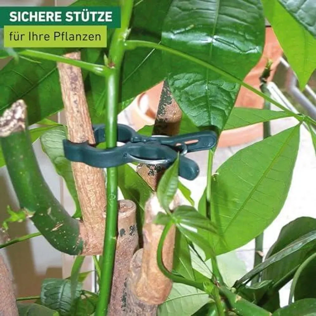 Windhager Pflanzenclips Pflanzklammern 12-teilig Grün