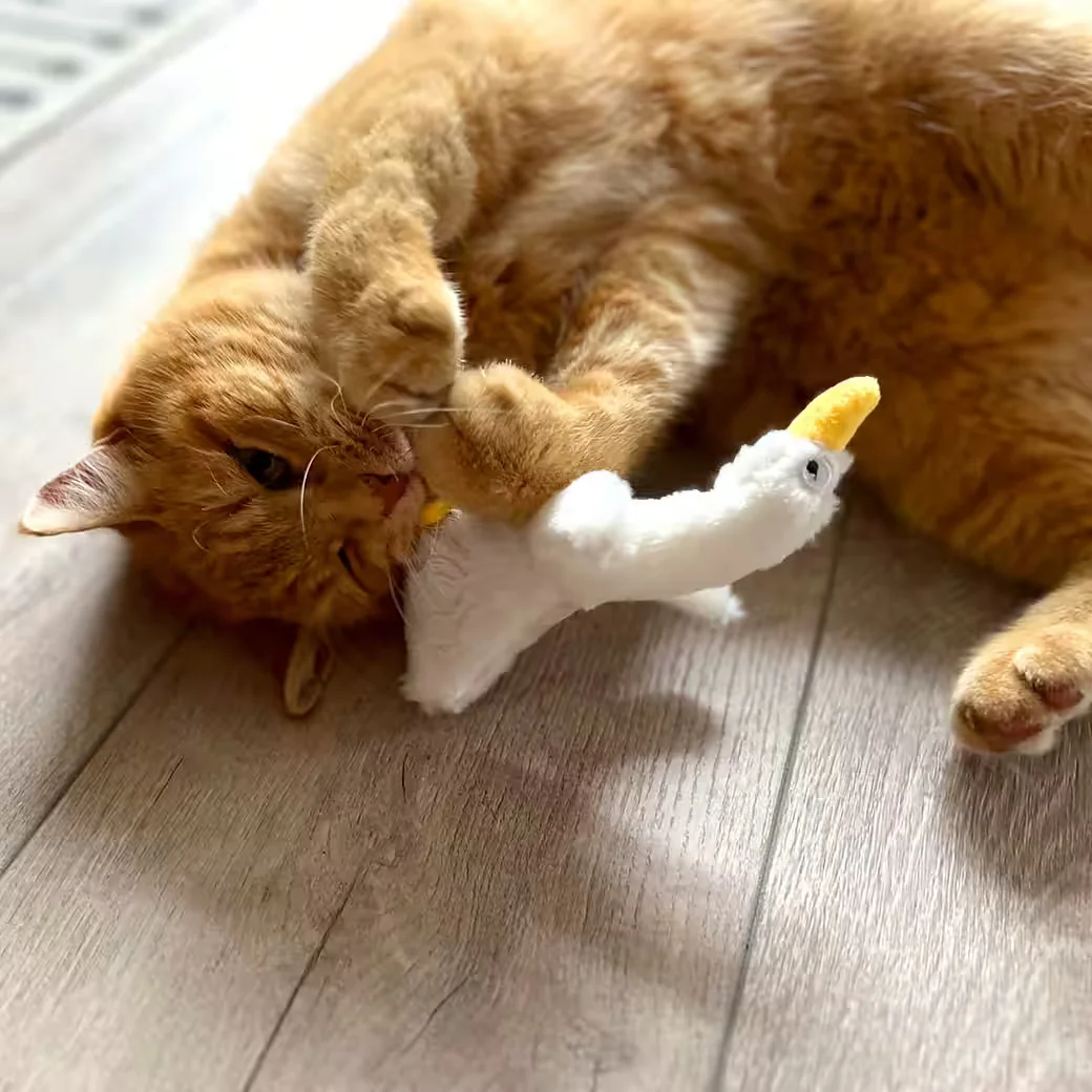 AUMÜLLER Katzenspielzeug mit Baldrian Gilbert Gans Kuscheltier