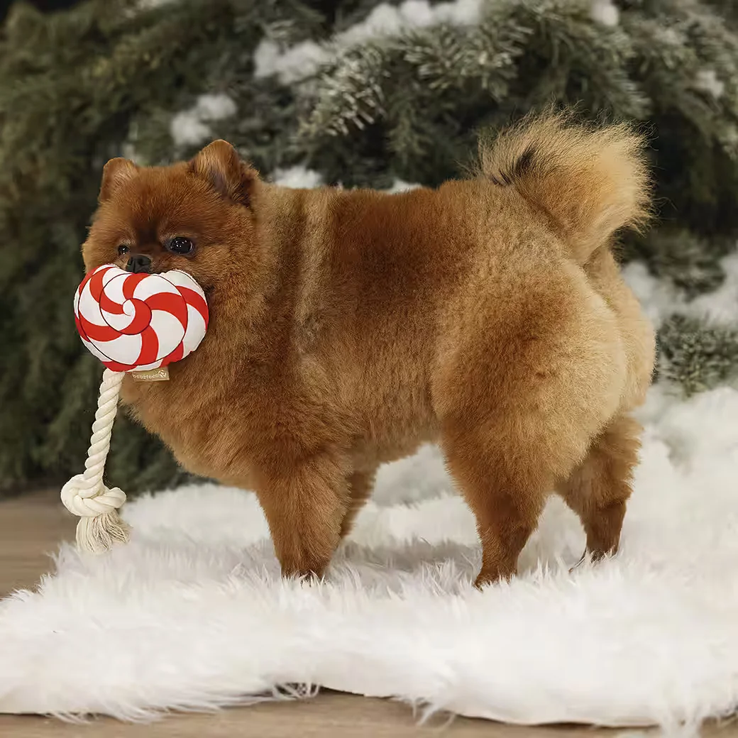 BEEZTEES Kuscheltier Hundespielzeug Weihnachts Lolly rot weiß