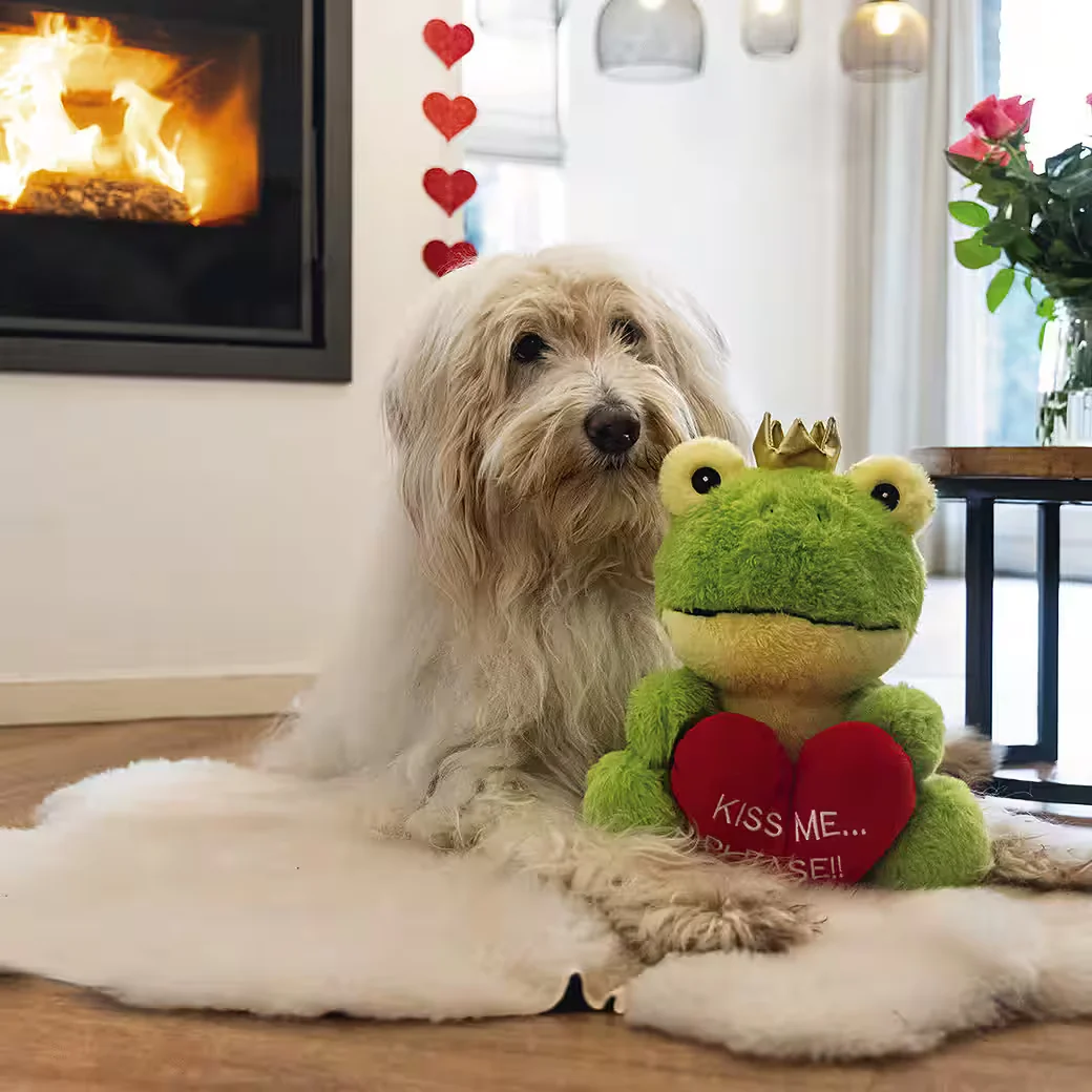 BEEZTEES Hundespielzeug Froschkönig Plüsch Kuscheltier grün