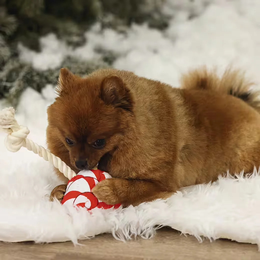 BEEZTEES Kuscheltier Hundespielzeug Weihnachts Lolly rot weiß