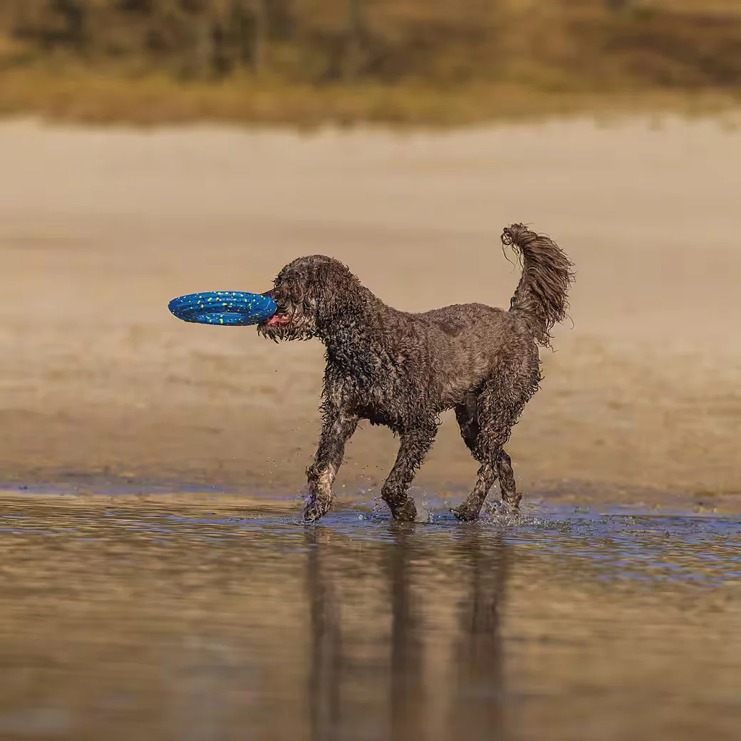 BEEZTEES Gisa Outdoor Hundespielzeug Frisbee aus Schaumstoff blau