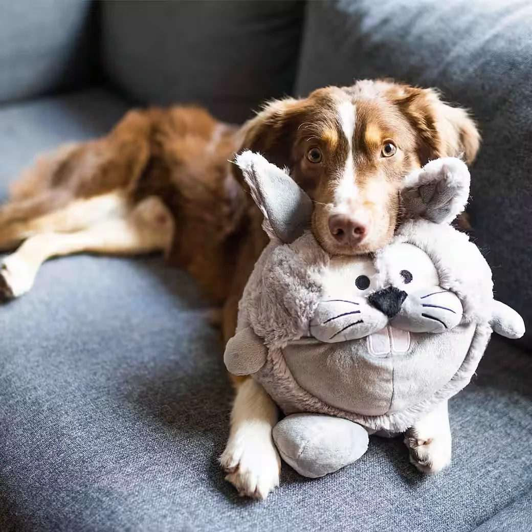 WOLTERS Hundespielzeug Plüschball Osterhase Kuscheltier