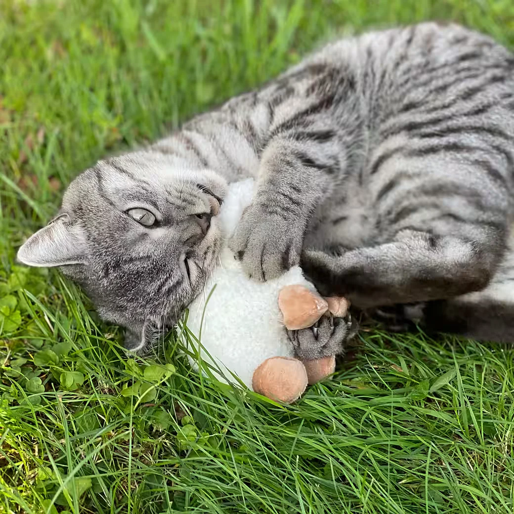AUMÜLLER Katzenspielzeug Schäfchen Sally Plüschtier mit Baldrian