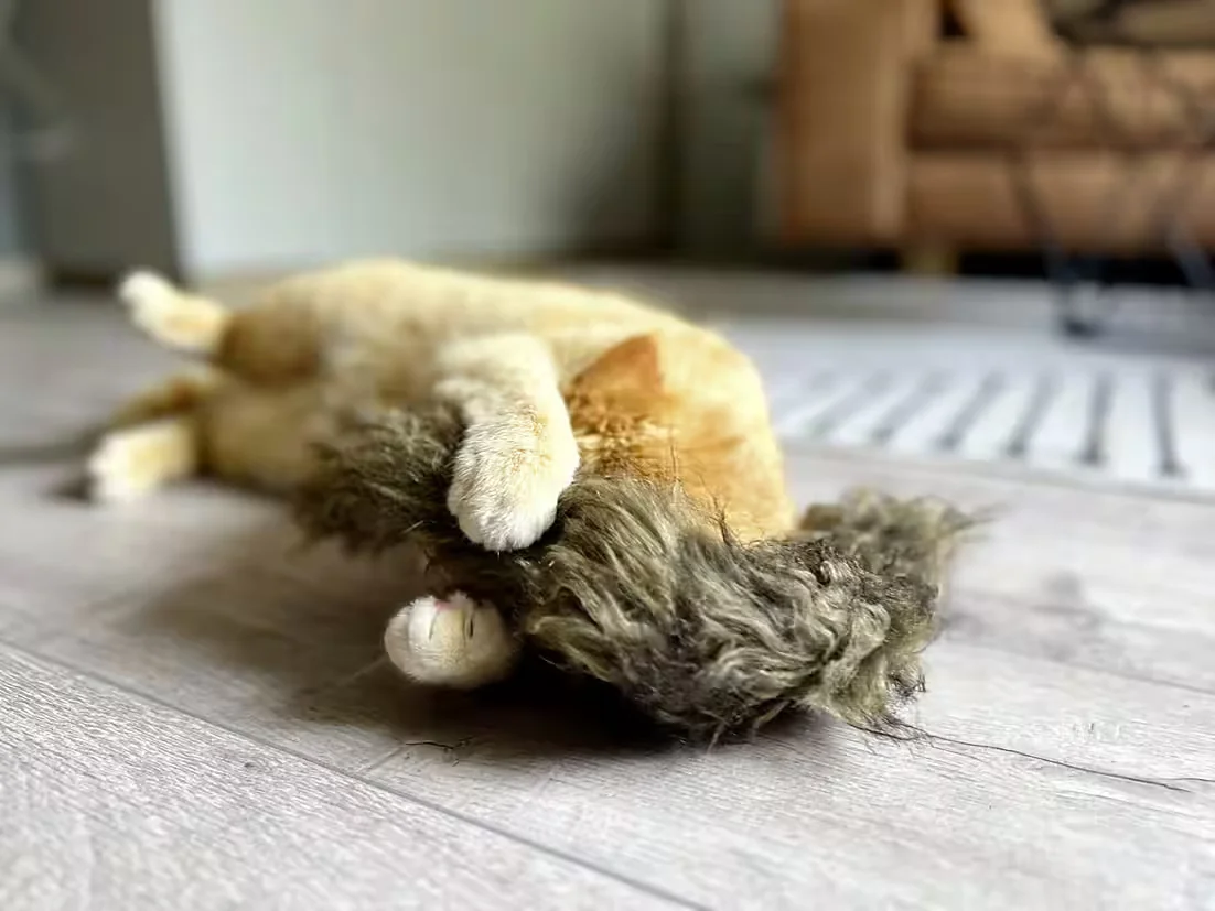 AUMÜLLER Katzenspielrad Frettchen grau mit Sand