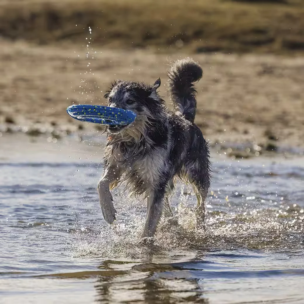 BEEZTEES Gisa Outdoor Hundespielzeug Frisbee aus Schaumstoff blau
