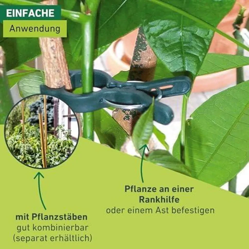 Windhager Pflanzenclips Pflanzklammern 12-teilig Grün
